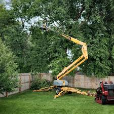 Best Tree Risk Assessment  in Flora, IL